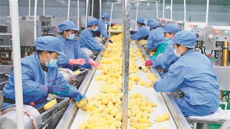 甘南“甘味”农产走俏市场 生态产业促全域旅游升级-丝路明珠网