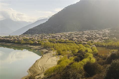 雅鲁藏布大峡谷的这个小村庄索松村，拥抱南迦巴瓦、林芝桃花__凤凰网