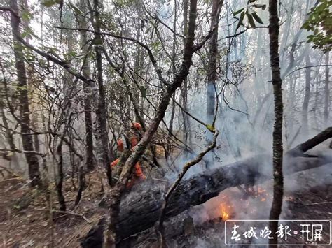 开屏新闻-快讯！迪庆香格里拉山火明火已全部扑灭