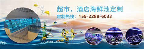 宜春哪里有鱼缸卖的店铺地址(宜昌鱼缸专卖店) - 野彩鱼 - 广州观赏鱼批发市场
