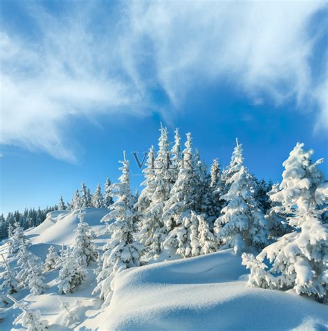 寒冷的冬季森林有雪覆盖高清图片下载-正版图片506329135-摄图网