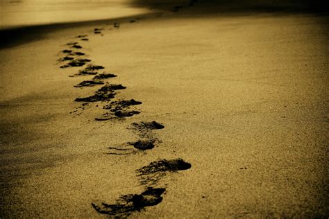 沙中脚印旅行地点物体海岸线纹理海滩水平高清图片下载-正版图片321694392-摄图网