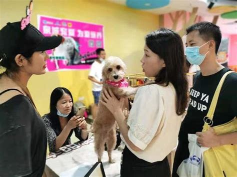 逛商场还能领养狗，济南首个领养商铺来了_服务_维宠宠物导航网