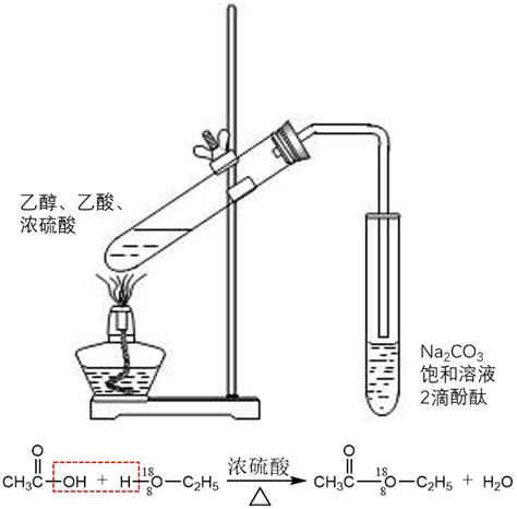 乙醇分子的组成与结构-乙醇的性质及化学方程式工业制法-酯化反应的规律