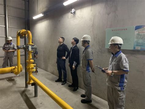 海南省天然气管道将实现连网
