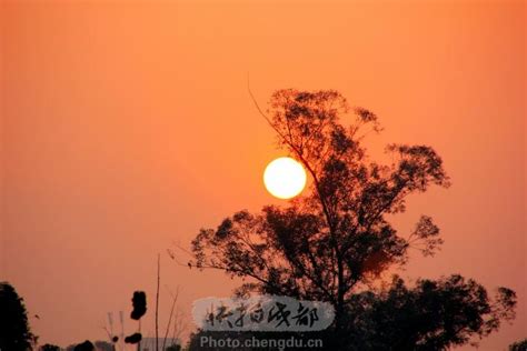 太阳升起来最时刻图片免费下载_PNG素材_编号vo9ij44p7_图精灵