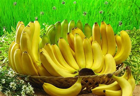 香蕉什么时候吃减肥-香蕉的营养价值-香蕉能放冰箱吗-孕妈之家