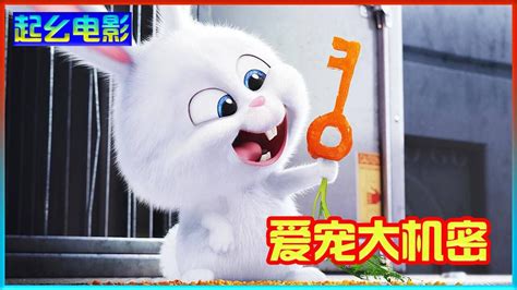 动画电影《爱宠大机密》：这么可爱的兔兔，没想到竟然是黑老大！_高清1080P在线观看平台_腾讯视频
