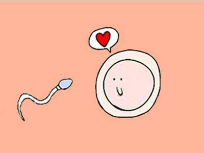 人工受孕和试管婴儿有什么区别（人工授精和人工受精有何不同）-幼儿百科-魔术铺
