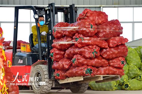 33个品种4500吨蔬菜供应市场！“五一”期间海口市民“菜篮子”拎得稳