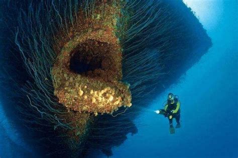 人类为什么不探索深海,人类到达的最深海底是多深(10916)_探秘志