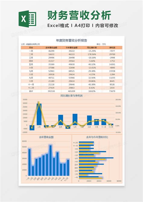 年度财务营收分析报告Excel模板下载_熊猫办公