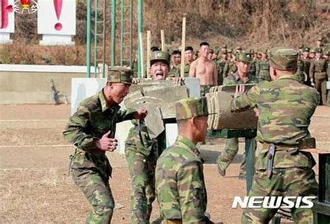 中朝韩特种部队比拼：朝鲜的画风完全不一样啊_新浪图片