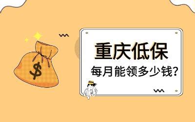 重庆高速恢复收费 你最关心的问题官方解答来了_重庆市人民政府网