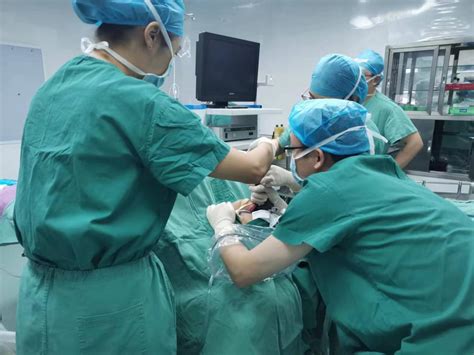 罗江区人民医院成功开展首例支撑喉镜下声带小结摘除术_四川在线