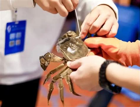 上海海洋大学第十四届蟹文化节暨2020年“王宝和杯”全国河蟹大赛举办