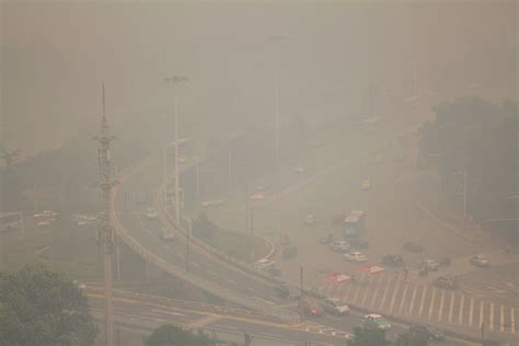 武汉今年平均每4天有1个雾霾天 1月有23天霾|雾霾|雾霾天|武汉雾霾_新浪新闻