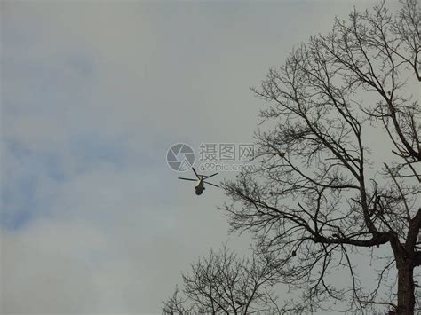直升飞机在树上的天空中飞翔高清图片下载-正版图片504297599-摄图网