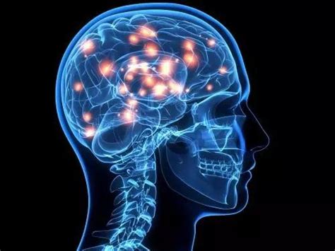 大脑能被知识塞满吗？科学家告诉你脑容量有多大 - 知乎