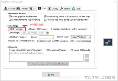 MobaXterm安装使用设置快捷键_mobaxterm快捷键设置-CSDN博客