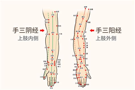 人体刮痧经络图解图片 人体刮痧经络图解图片
