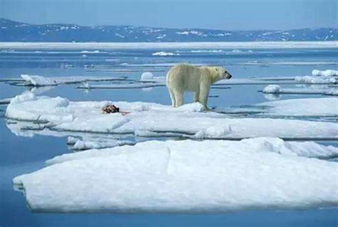 新知 | 南极2月气温破20℃——全球变暖，人类何去何从？_新华报业网