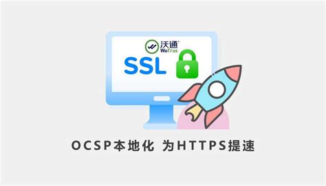 申请网站SSL证书是否必须有网站且解析域名到服务器 | 老左笔记
