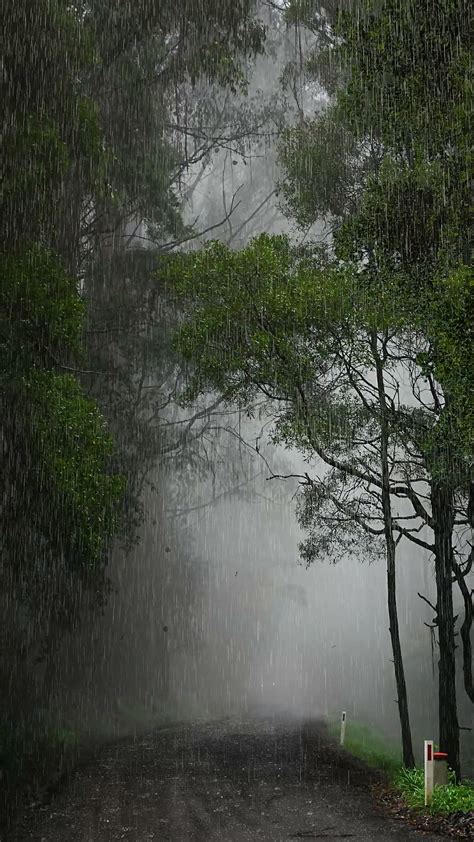 下雨天高清图片下载-正版图片500776008-摄图网