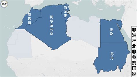 阿尔及利亚正式申请加入金砖国家 今年7月底透露意愿_军事频道_中华网