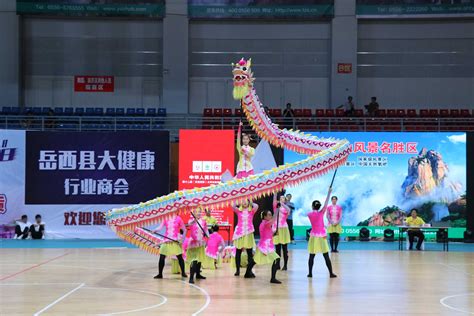 我校龙狮队在第三届广西壮族自治区大学生舞龙舞狮锦标赛勇夺三项冠军