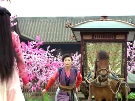 《白发魔女传》香港经典古装电影，张国荣和林青霞精彩出演。