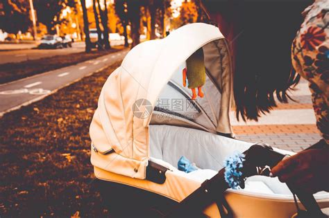 熊黛林推婴儿车图片视频