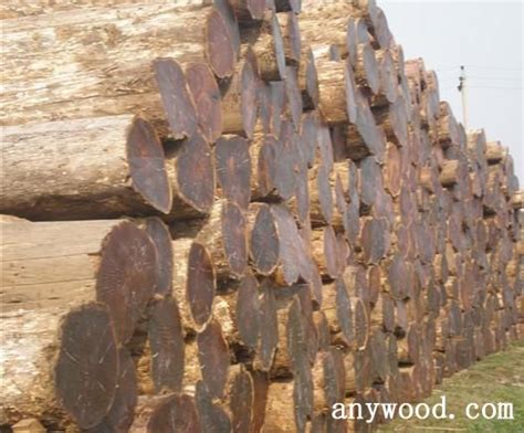 “中国板材之乡”简要介绍【批木网】 - 木业行业 - 批木网