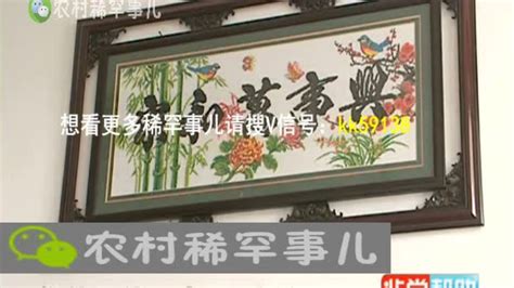河北电视台农民频道宣传册设计图片平面广告素材免费下载(图片编号:2737119)-六图网