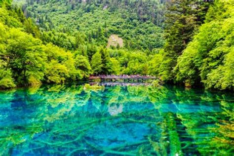 四川最美的二十个景区名单_旅泊网