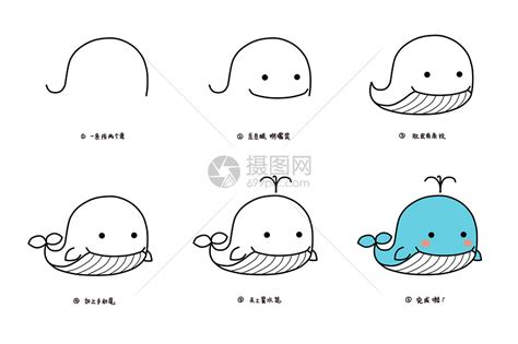 手绘鲸鱼简笔画图片