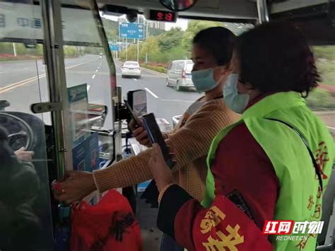 桂阳：公交车上的“绿马甲”_县区（市）_郴州站_红网