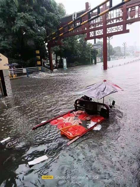 四川宜宾遭遇强降雨致城区多处内涝 交警暴雨中疏导交通|宜宾|暴雨|城区_新浪新闻