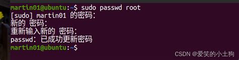 Ubuntu如何切换到root用户_ubantu怎么切换为root用户-CSDN博客