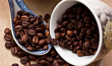 印度尼西亚咖啡产区 印尼阿拉比卡咖啡豆种植特点与历史发展故事 中国咖啡网