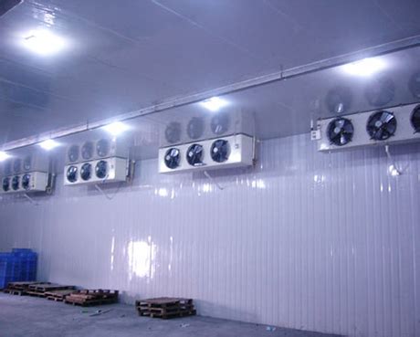 安徽六安农产品加工冷库设计安装工程案例_上海雪艺制冷科技发展有限公司