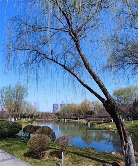 西安东郊最大最长的湿地公园灞桥生态湿地公园，春暖看花开吸氧锻炼休闲散步遛娃好地方 – 旅游人