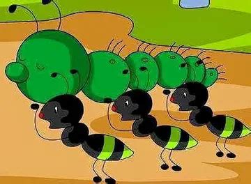 蚂蚁的行动。蚂蚁桥团结团队