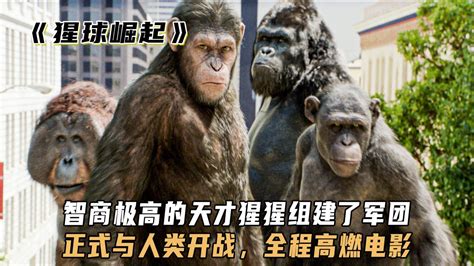 盘点：和大猩猩有关的15部电影，你看过几部？-搜狐大视野-搜狐新闻