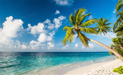沙滩椰树与海天一色的风景高清jpg图片免费下载_编号z0ohm789z_图精灵