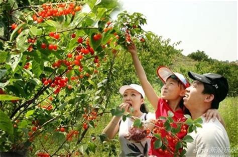 今年一季度农村居民人均可支配收入实际增长4.8% 细算农家增收账_国内_黑龙江网络广播电视台