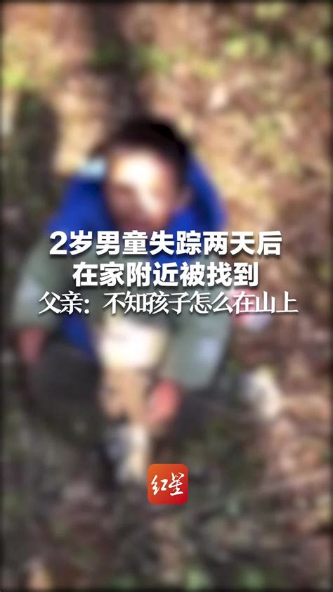 2岁男童失踪两天后在家附近被找到 父亲：不知孩子怎么在山上_凤凰网视频_凤凰网