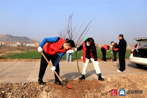 世界环境日：“种树爷爷”杨喜庆：我有5亿“合伙人”-中国绿色碳汇基金会-中国绿色碳汇基金会