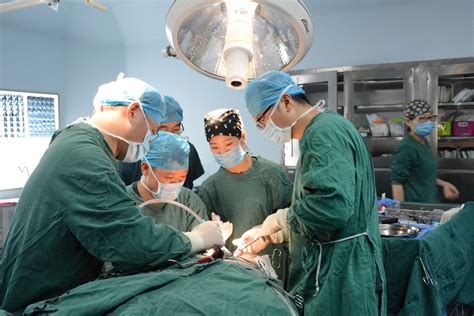 市中心医院神经外科与口腔科合作完成一例高难度颅底肿瘤切除术 - 益阳市中心医院