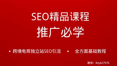 【SEO联盟】老域名历史批量查询软件
